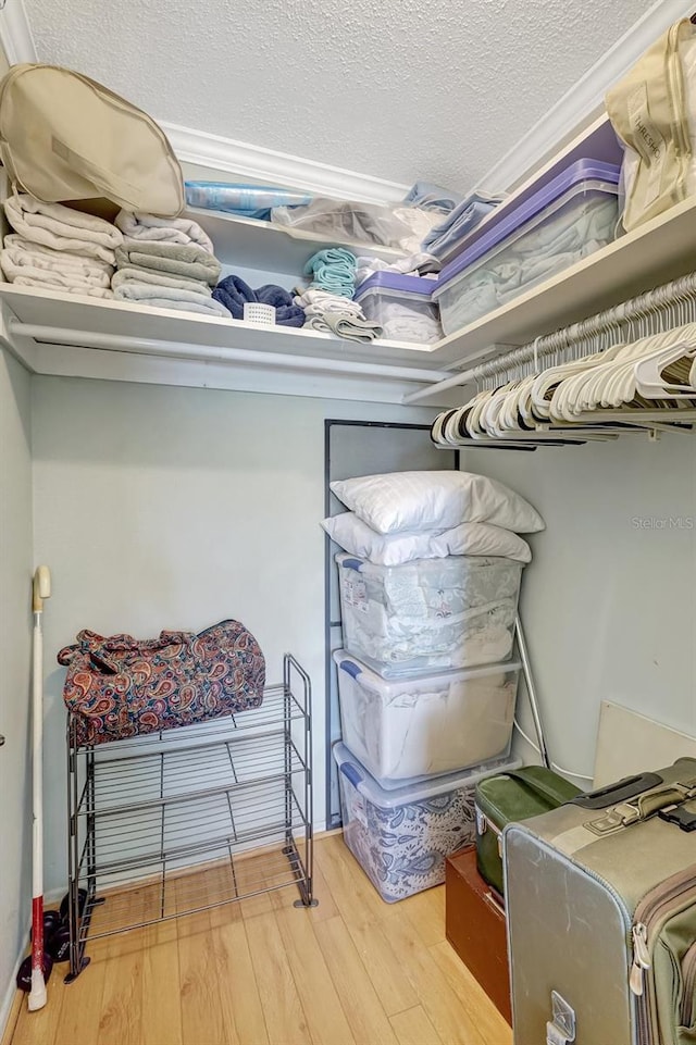 walk in closet featuring wood finished floors