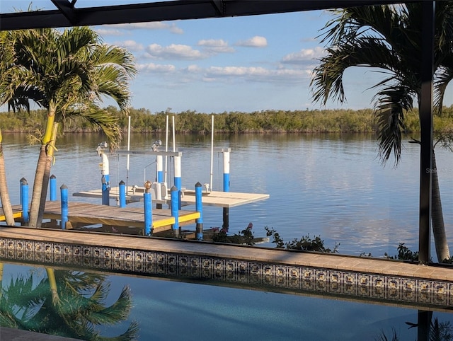 dock area featuring a water view