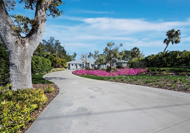 view of property's community with driveway