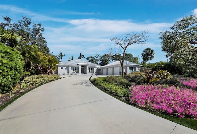 ranch-style home featuring concrete driveway and an attached garage