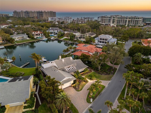 aerial view with a water view and a city view