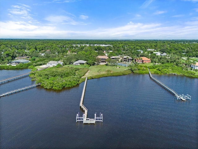 aerial view with a water view and a view of trees