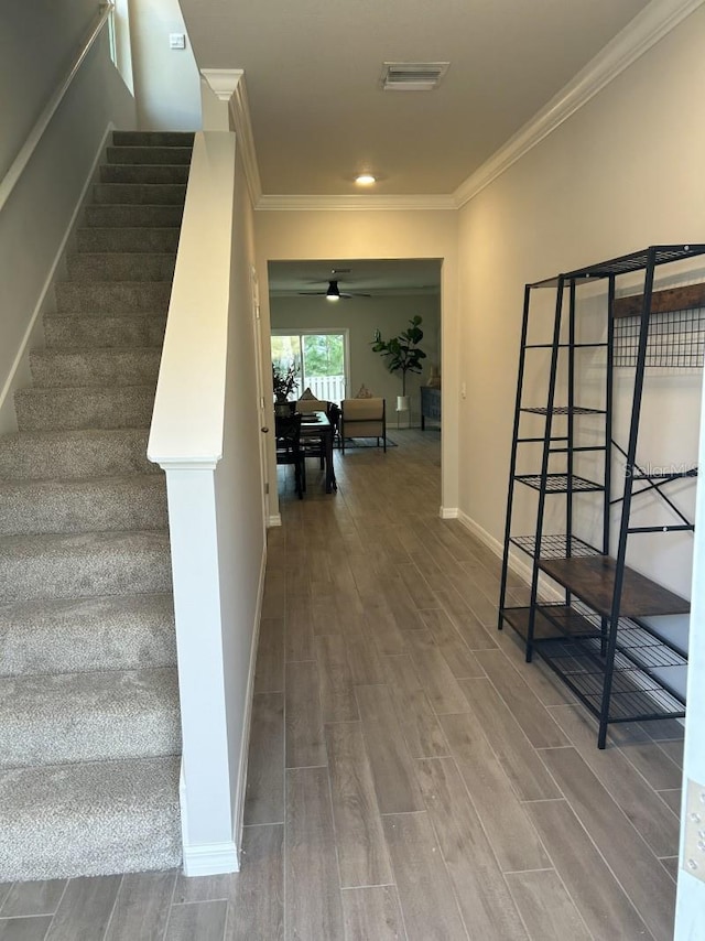 13633 NW 14th Pl, Newberry, FL 32669 - staircase with ceiling fan, wood finished floors, visible vents, baseboards, and ornamental molding