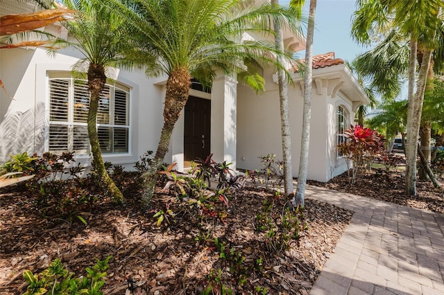 doorway to property featuring stucco siding