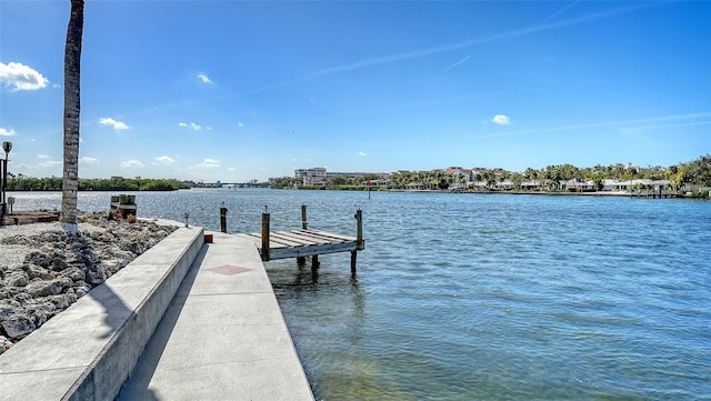 dock area with a water view