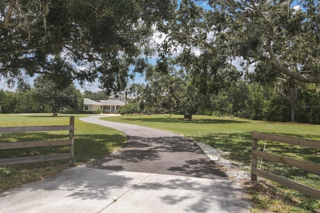 view of road with concrete driveway