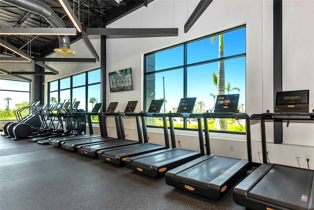 workout area featuring a towering ceiling