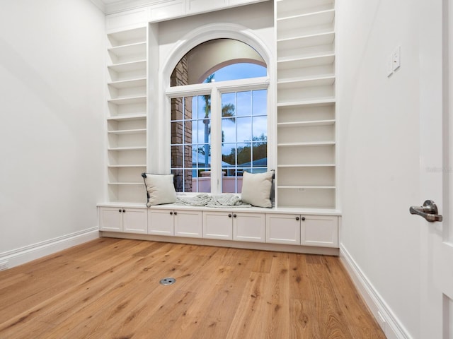 details featuring baseboards and wood finished floors