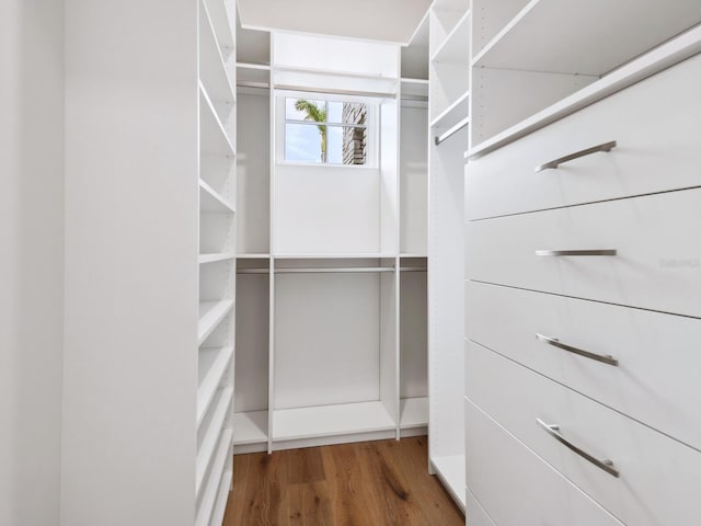 spacious closet featuring wood finished floors