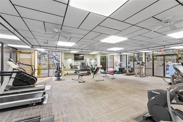 exercise room with a wealth of natural light, a paneled ceiling, carpet floors, and ceiling fan