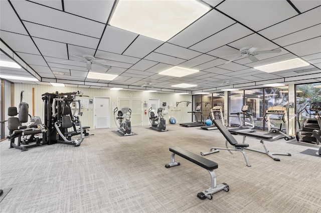 exercise room featuring a drop ceiling, carpet, and a ceiling fan