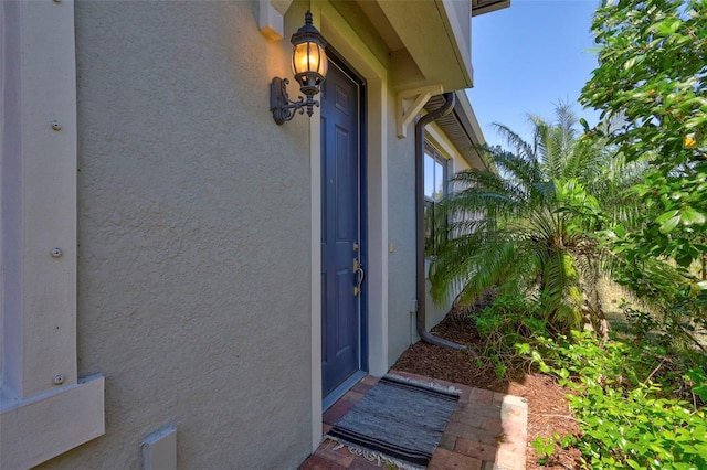 doorway to property featuring stucco siding