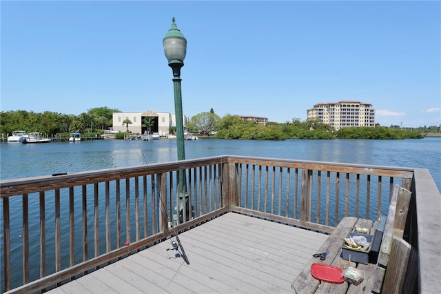 dock area with a water view