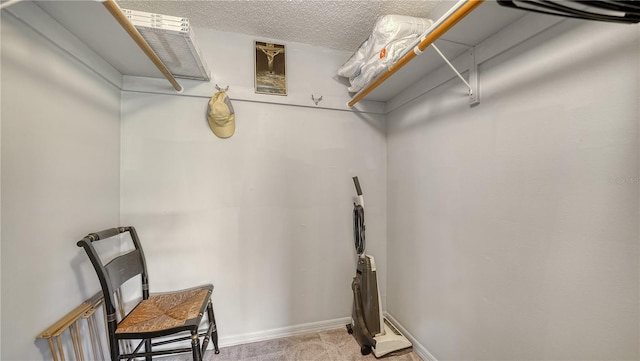 1711 Southwood St Unit 1711, Sarasota, FL 34231 - view of spacious closet