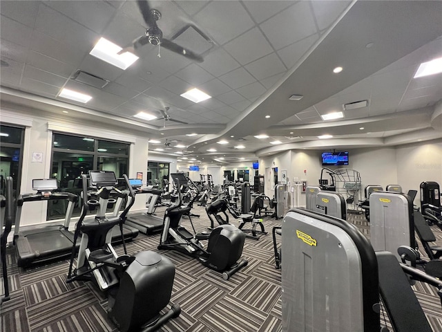 gym featuring carpet floors, a drop ceiling, a raised ceiling, and a ceiling fan