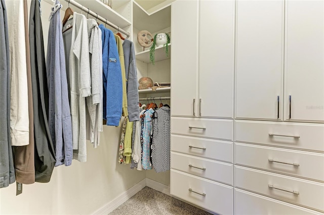 view of walk in closet