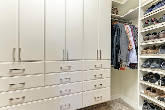 walk in closet featuring carpet floors