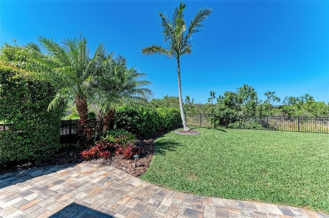 view of yard with a patio area and a fenced backyard