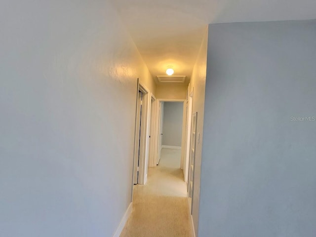 corridor with attic access, light carpet, and baseboards