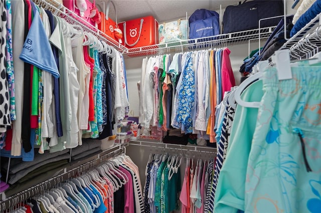 view of walk in closet