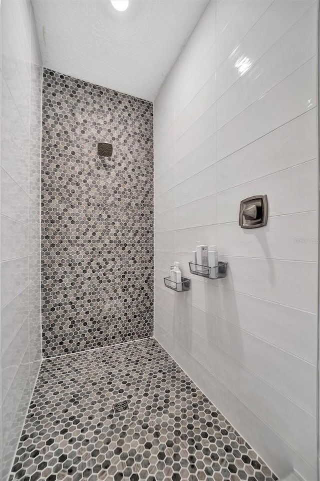 6027 White Mangrove Ln, Bradenton, FL 34210 - bathroom with a tile shower