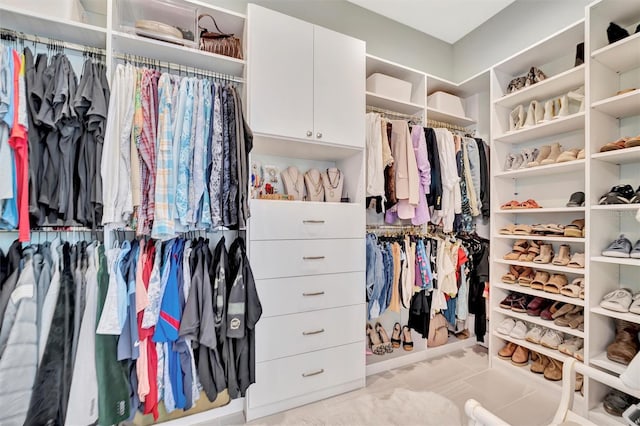 view of walk in closet