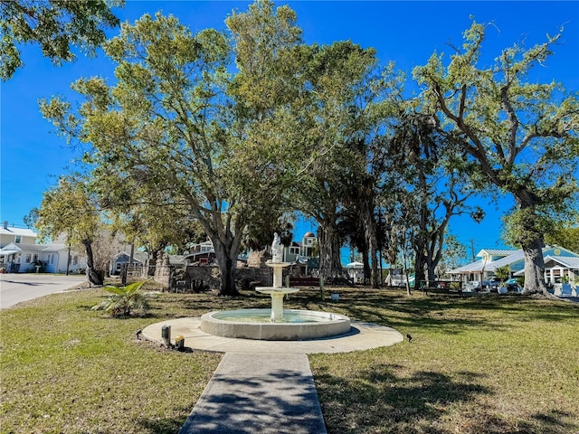 view of community with a lawn