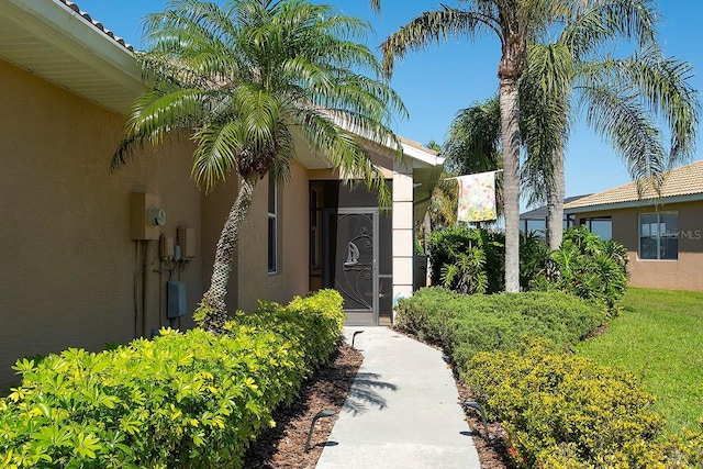 entrance to property featuring stucco siding and a yard