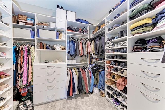 walk in closet featuring carpet