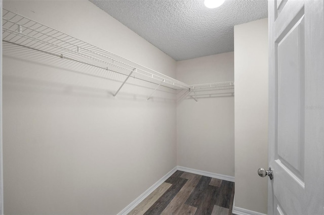 walk in closet featuring wood finished floors