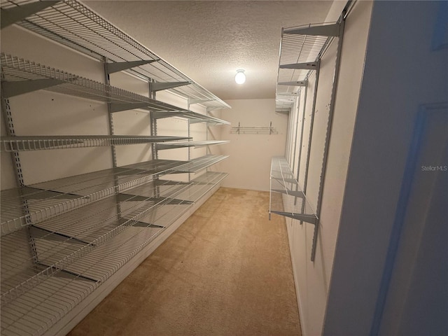 walk in closet featuring carpet