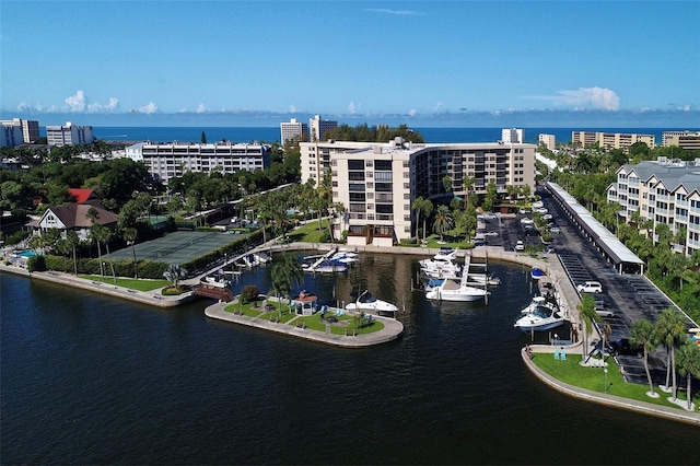 bird's eye view of a large body of water