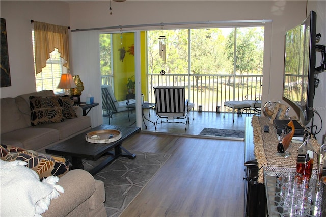 living room featuring wood finished floors