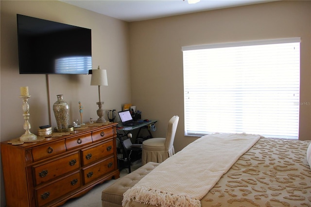 bedroom with multiple windows