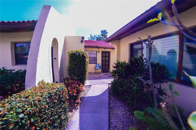 doorway to property featuring a tiled roof and stucco siding