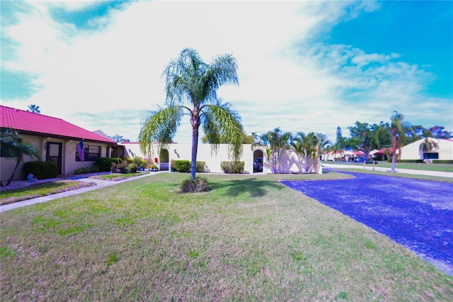 view of front of home with stucco siding and a front lawn