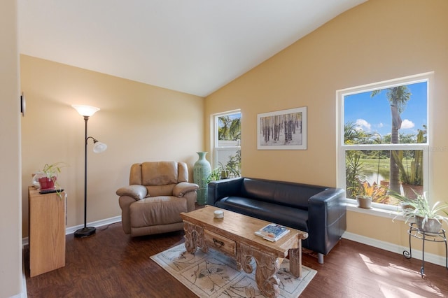 living area featuring lofted ceiling, baseboards, and wood finished floors