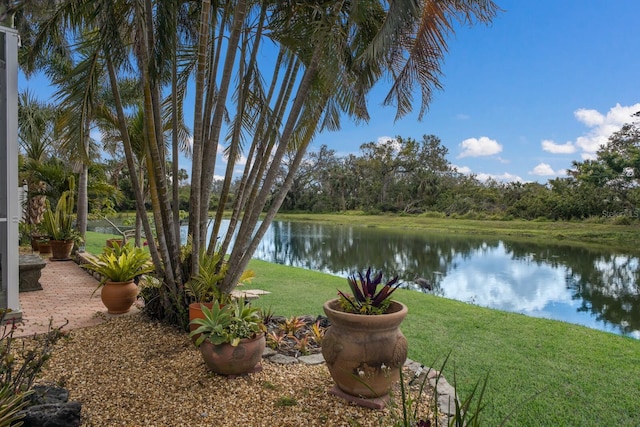 view of yard featuring a water view