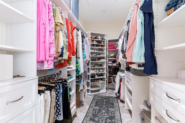 view of walk in closet