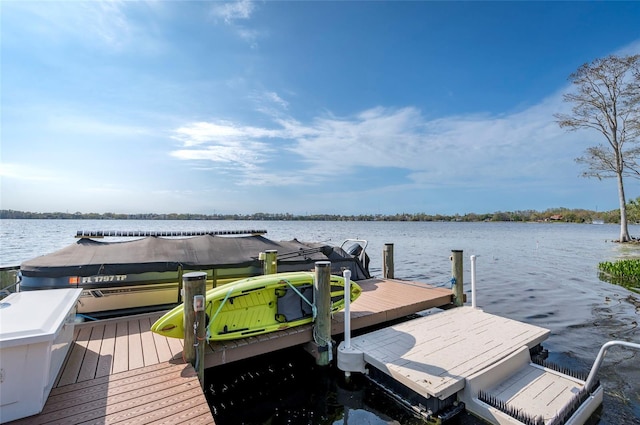 dock area featuring a water view