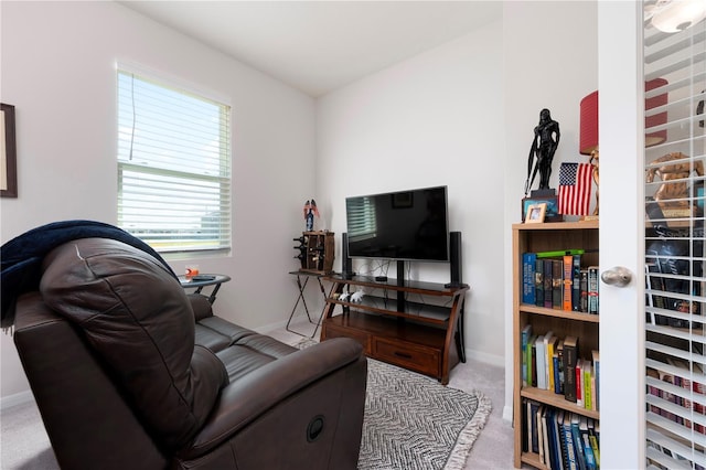 living area featuring baseboards and carpet