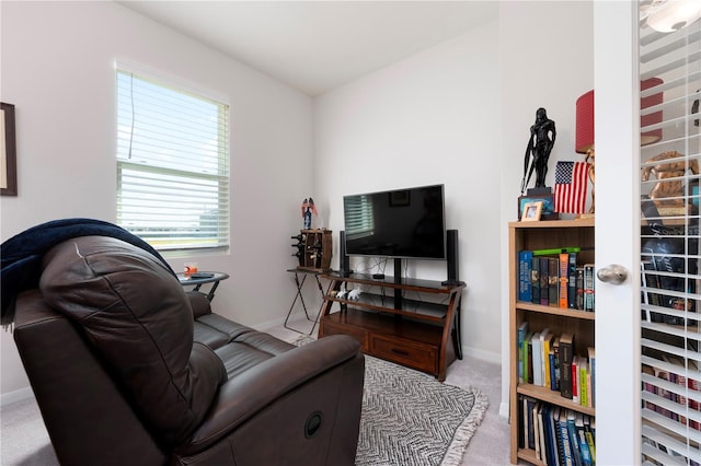 3677 Turning Tides Ter, Bradenton, FL 34208 - carpeted living area with plenty of natural light and baseboards