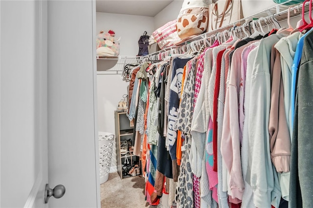 spacious closet featuring carpet