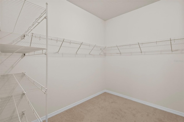 5412 72nd Ter E, Ellenton, FL 34222 - spacious closet featuring light carpet