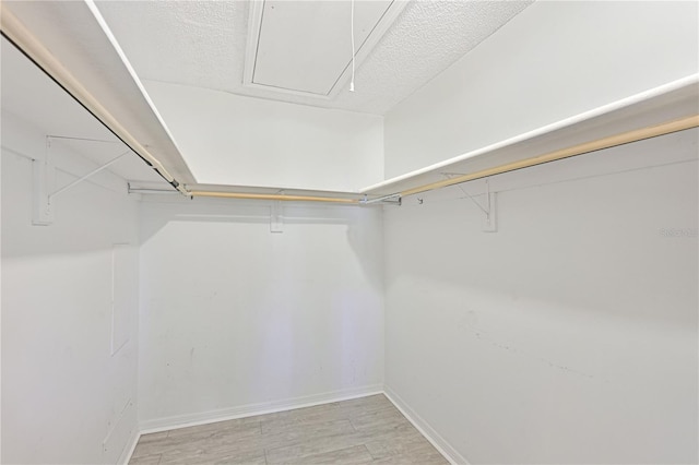 walk in closet with attic access and light wood-style flooring