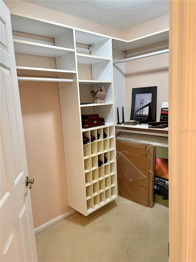 spacious closet with carpet