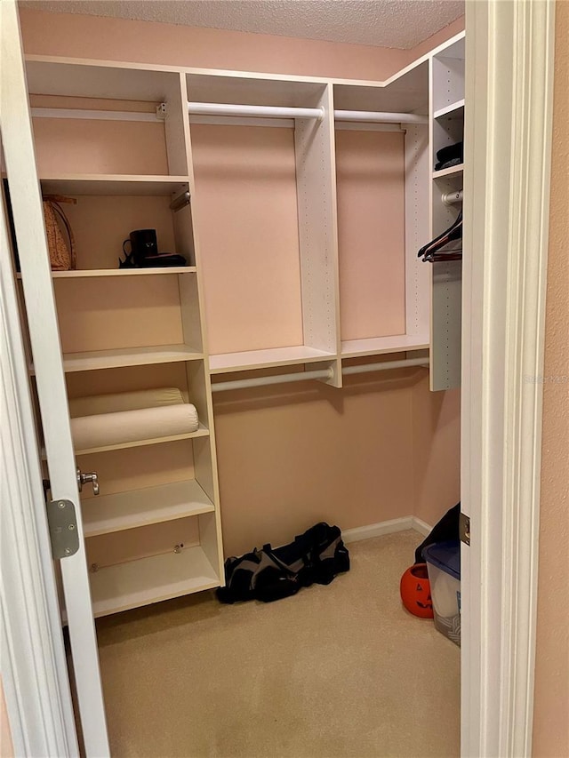 walk in closet with carpet flooring