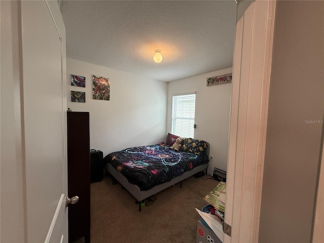 bedroom featuring carpet and a textured ceiling