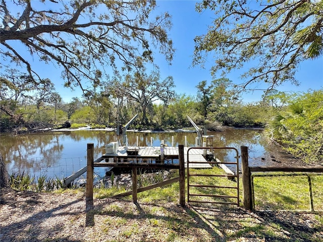 dock area with a water view