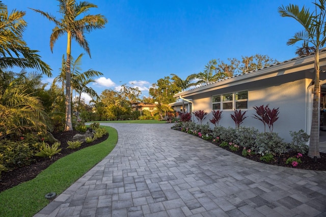 view of home's community with decorative driveway